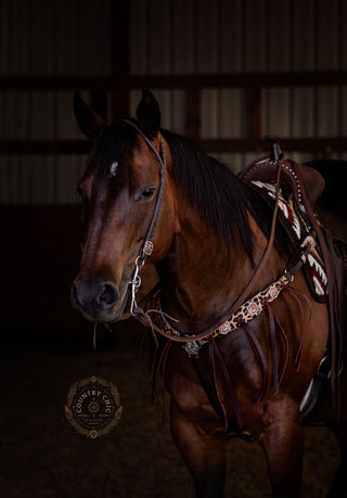 Leopard breastcollar